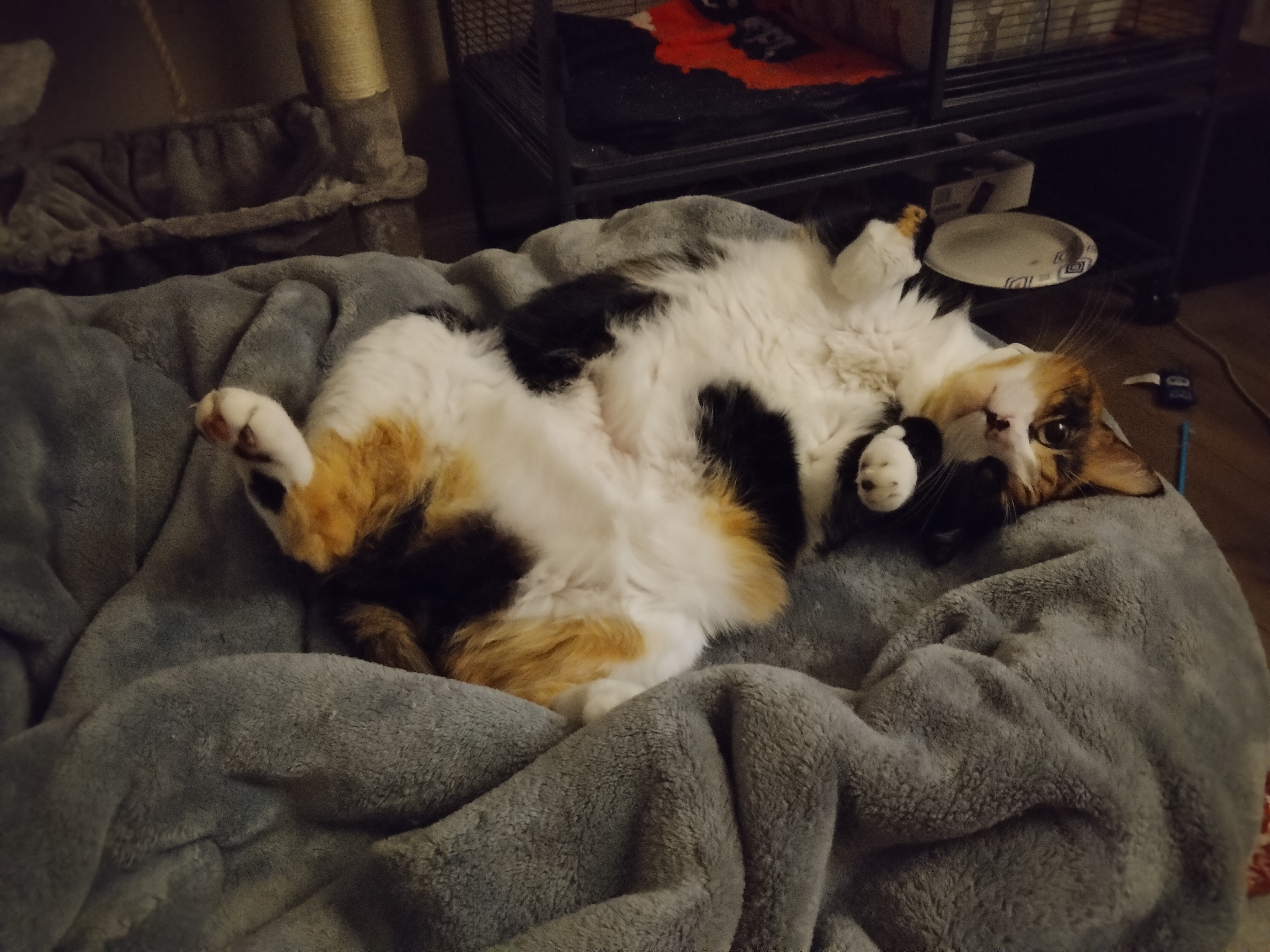 Session data from Day 14: Reflection Day