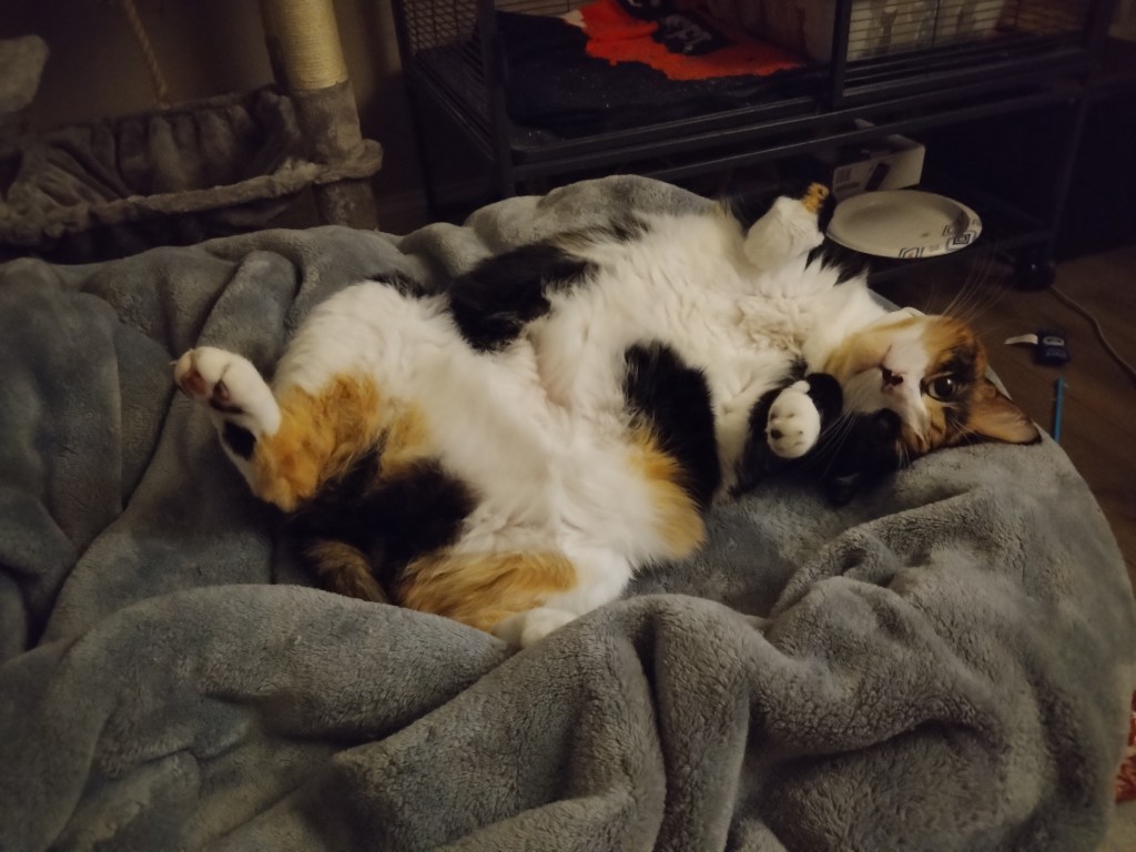 Day 14: Reflection&nbsp;Day